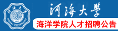 河海大學海洋學院人才招聘公告